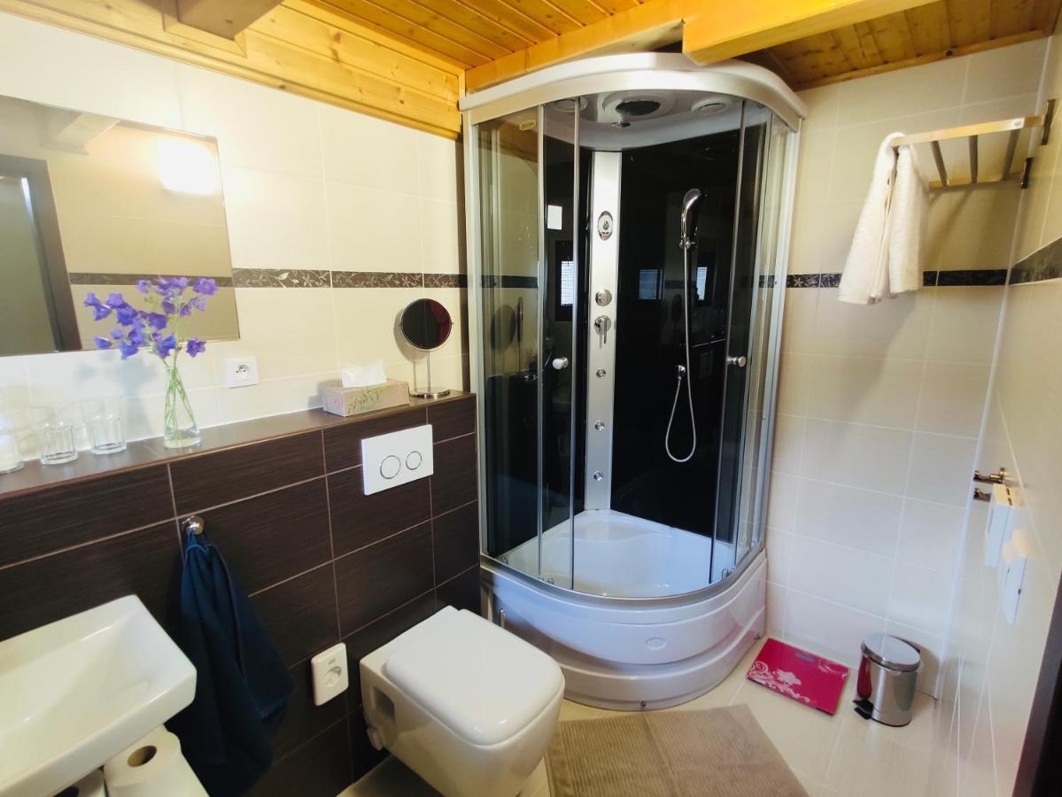 Holiday home Grand Spa Holiday Sklene Teplice