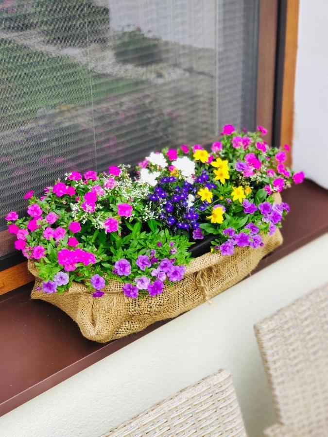 Holiday home Grand Spa Holiday Sklene Teplice