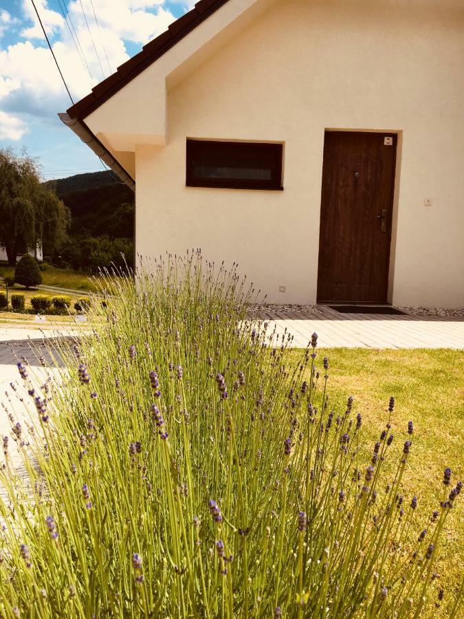 Grand Spa Holiday Holiday home Sklene Teplice