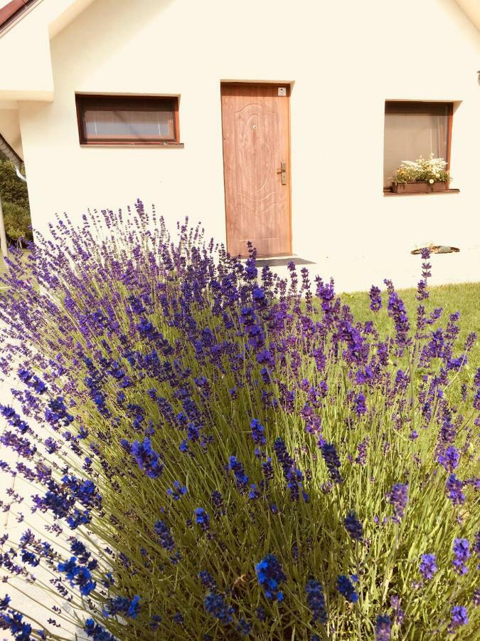 Holiday home Grand Spa Holiday *
